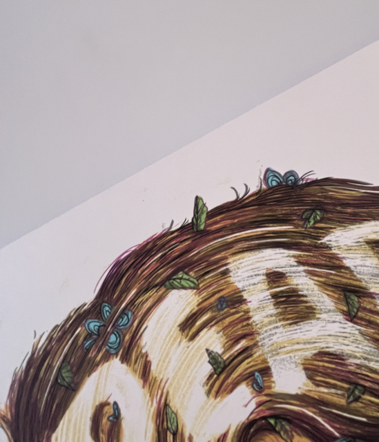 518 IMG_8740 Medium.png