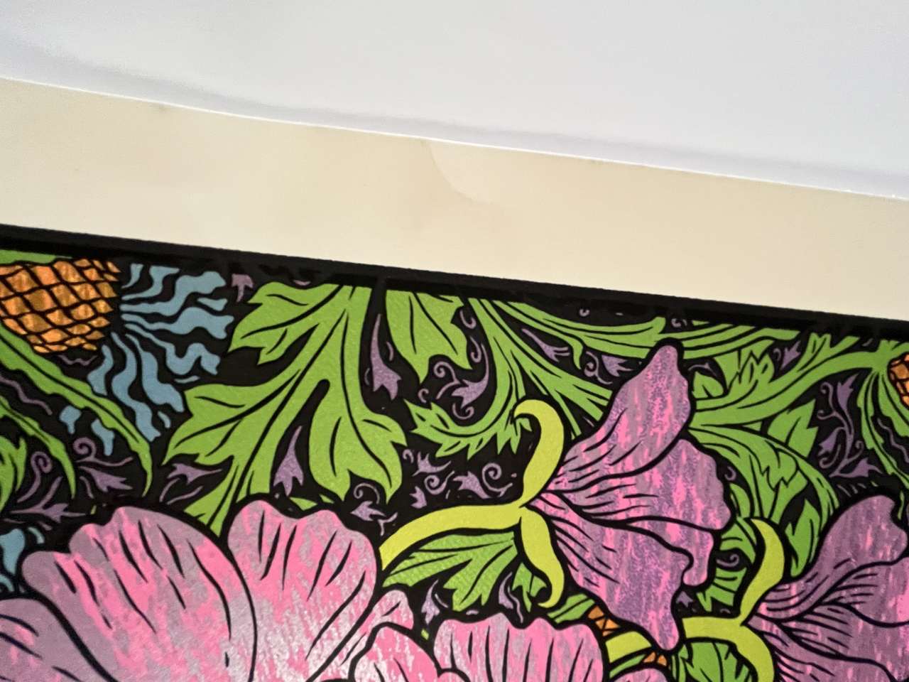 427IMG_8343 Large.png