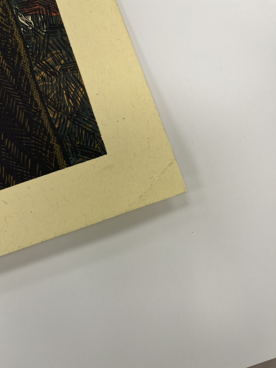 389IMG_8151 Large.png