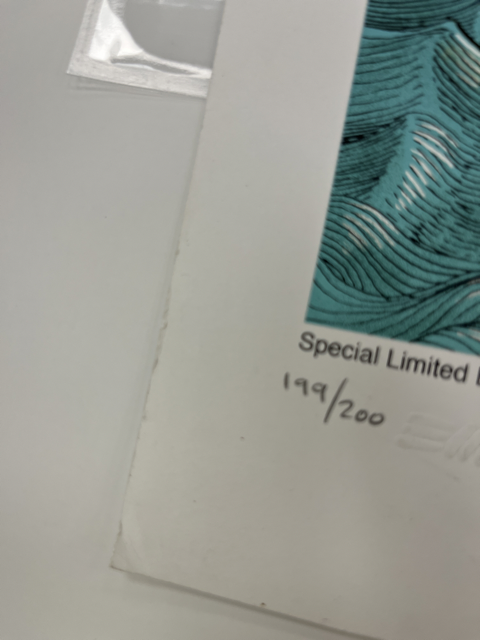 158 damageIMG_7302 Medium.png