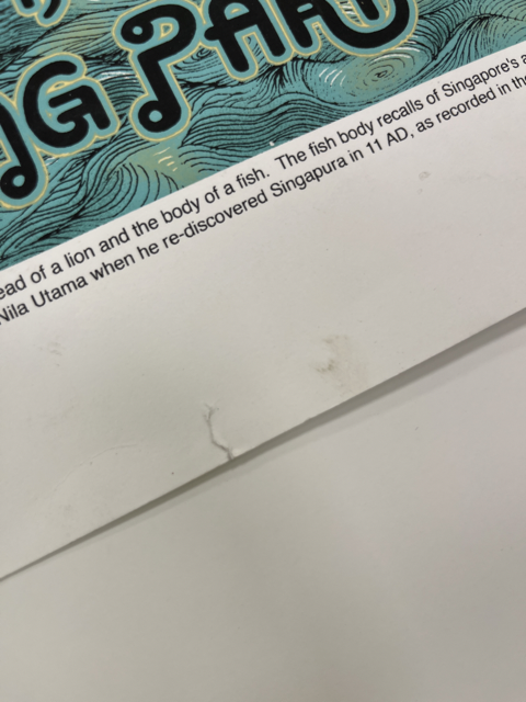 158 damageIMG_7301 Medium.png