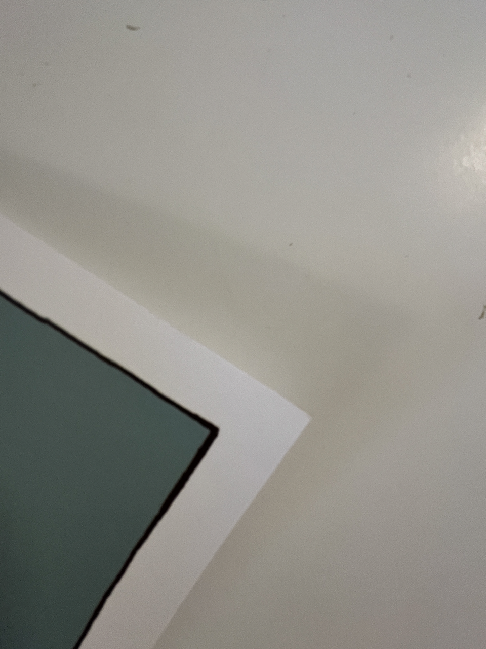 458IMG_8509 Large.png