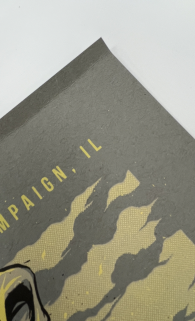 542 IMG_8818 Medium.png