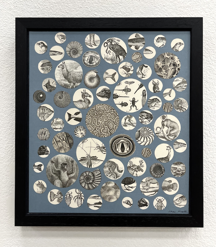 field guide 1 hope krollIMG_9282 Large.png