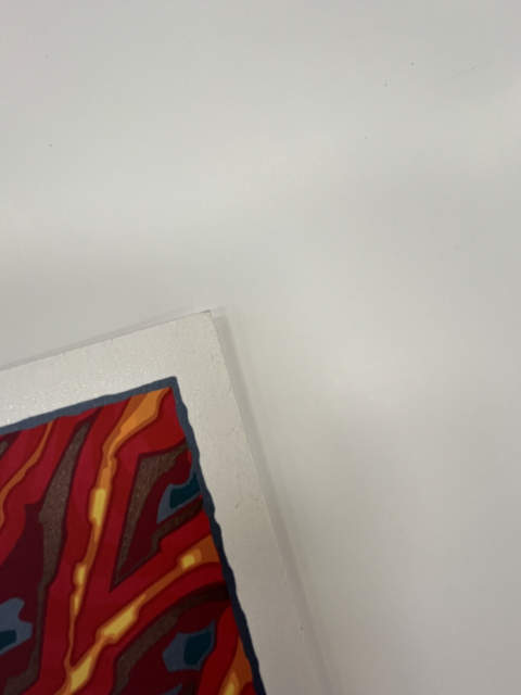 538 IMG_8806 Medium.png