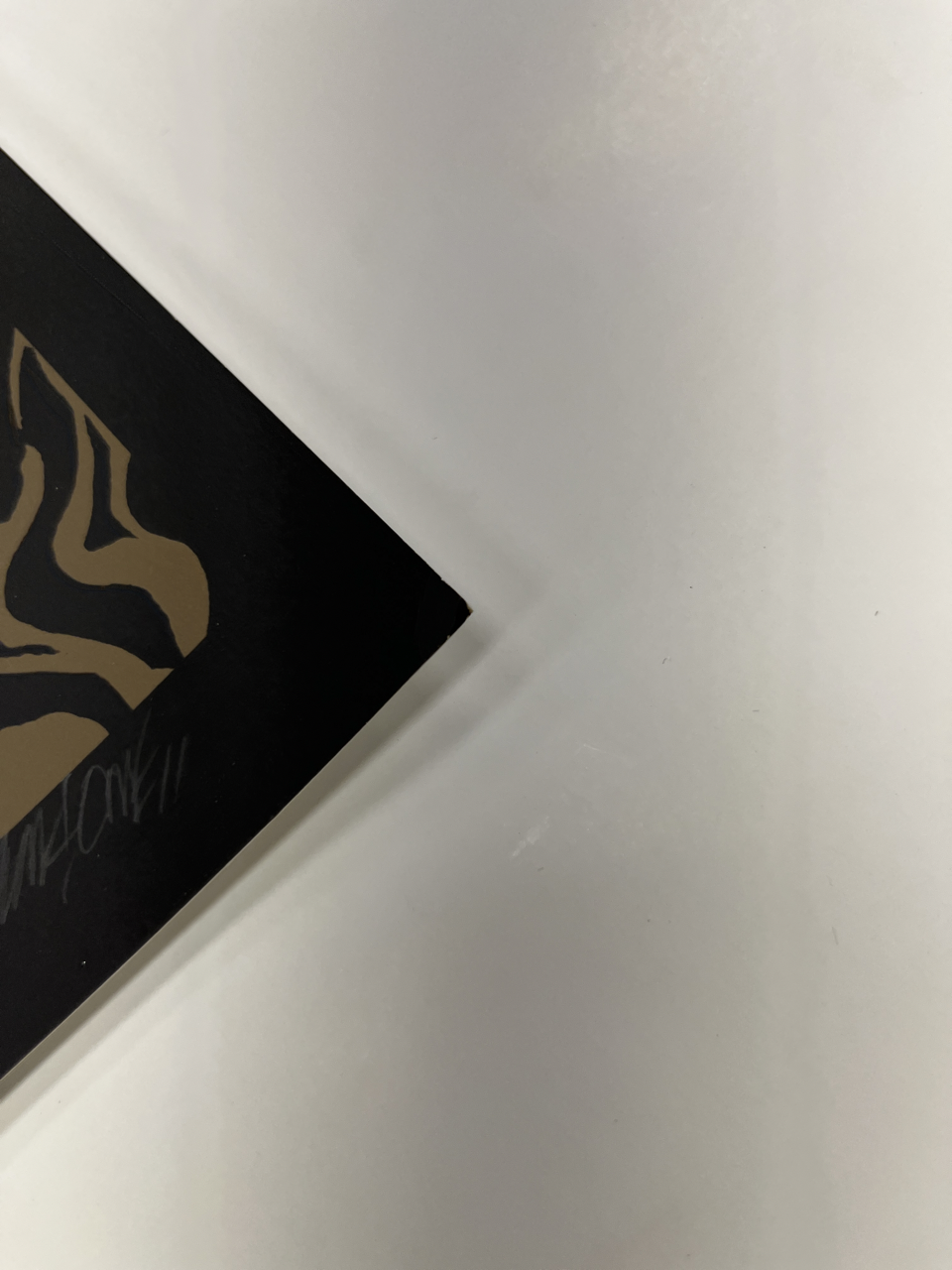 755 IMG_0245 Large.png