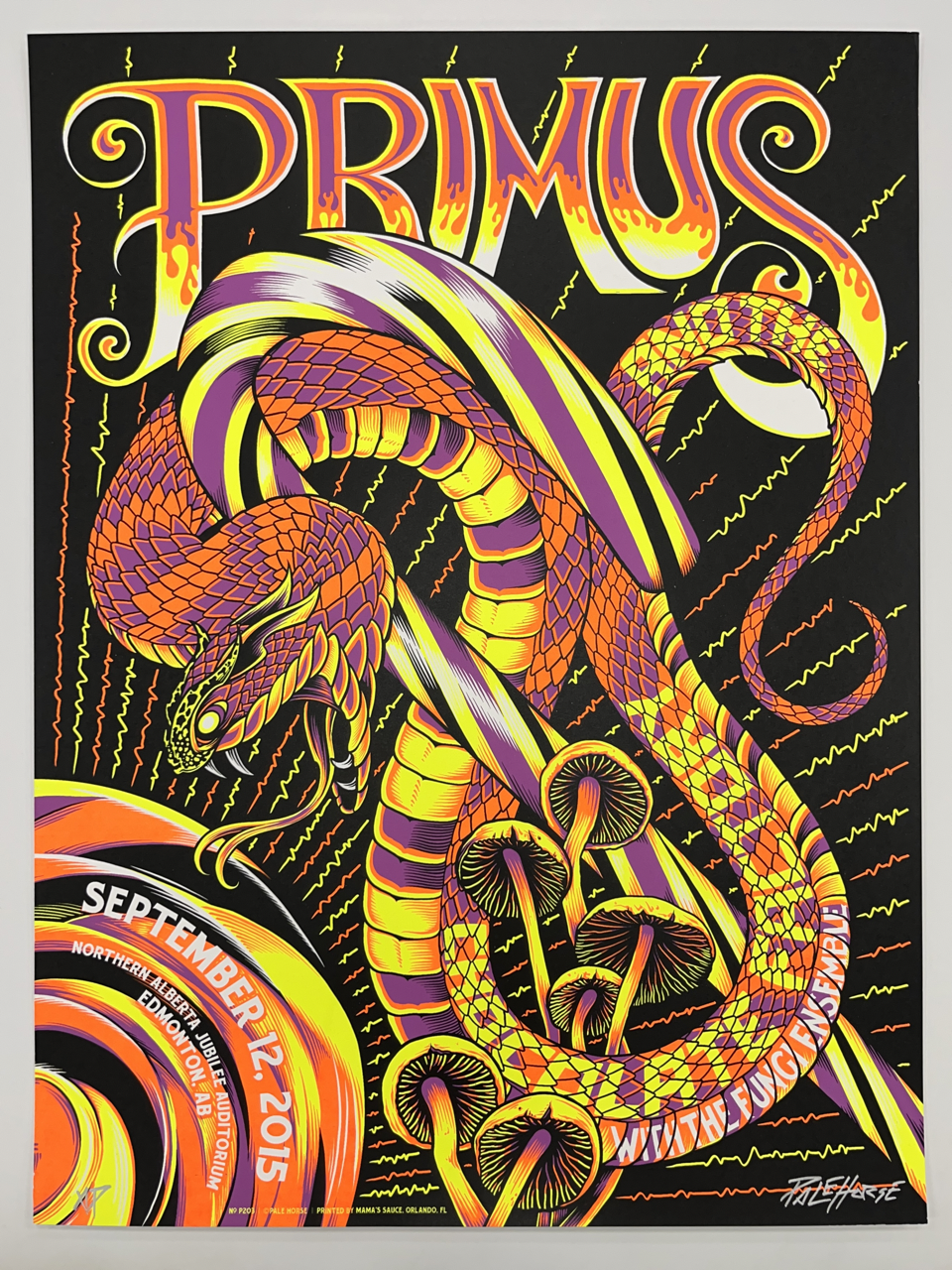 792 IMG_0185 Large.png