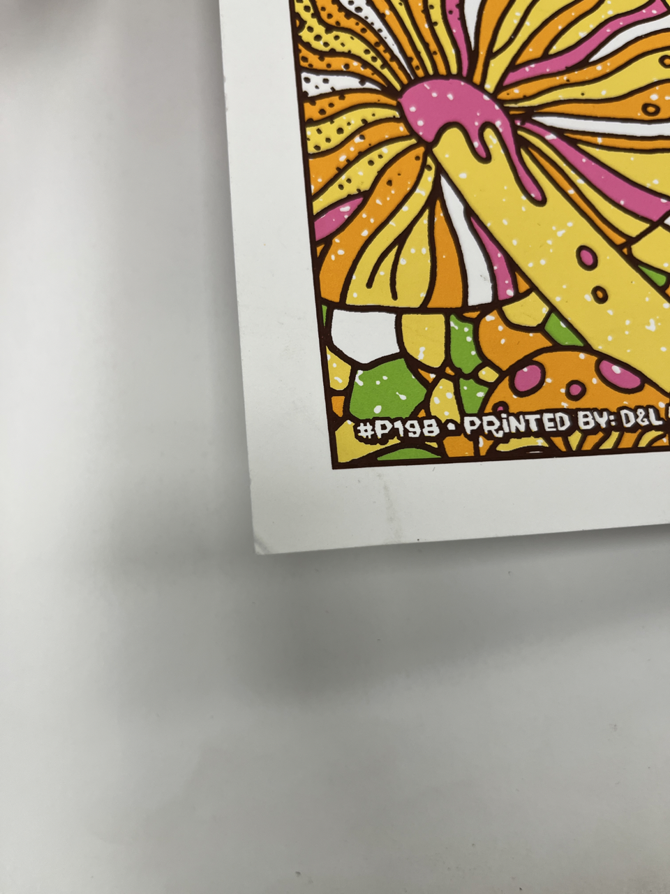 771 IMG_0238 Large.png