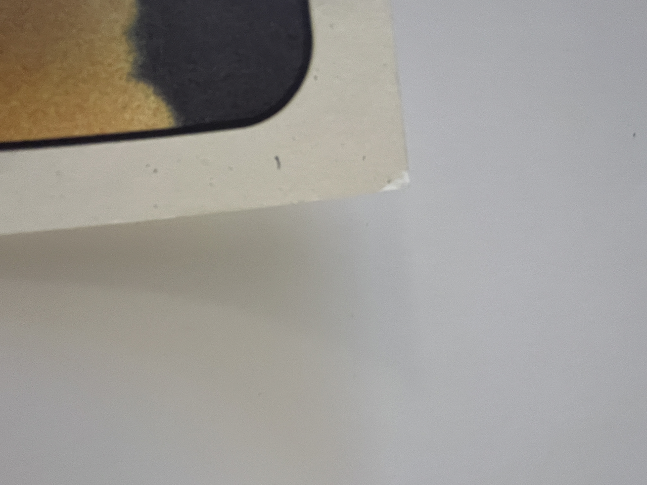 477IMG_8587 Large.png