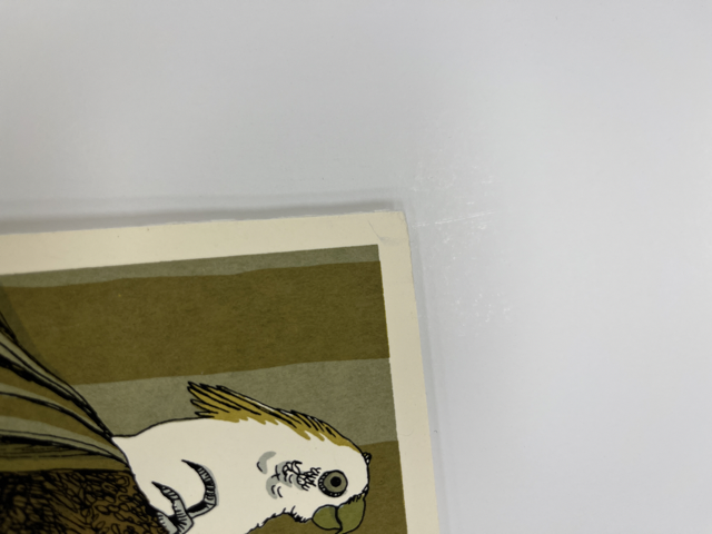 328 damageIMG_7780 Medium.png