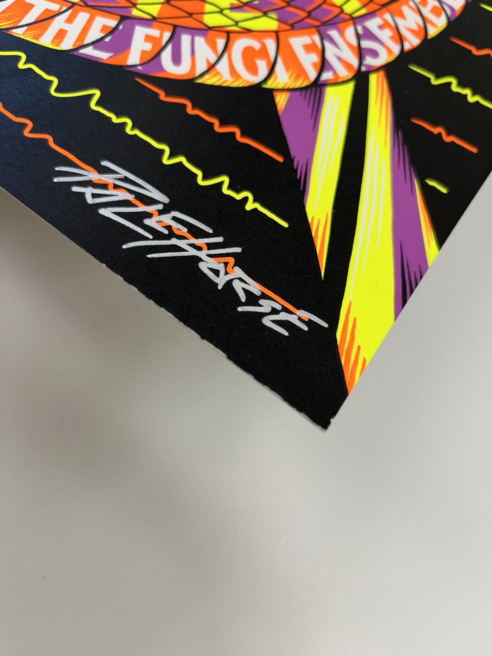 792 IMG_0186 Large.png