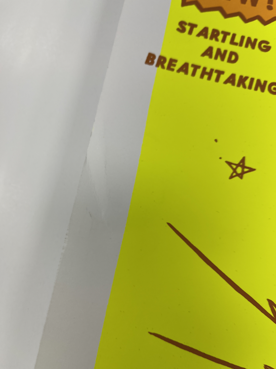 782 IMG_0214 Large.png