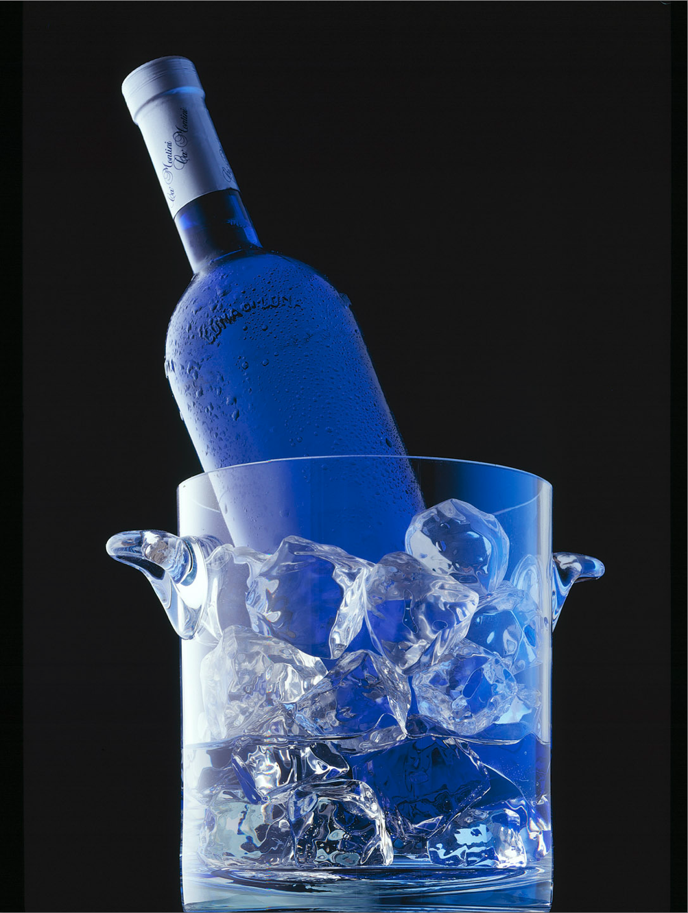 Blue Bottle on Ice