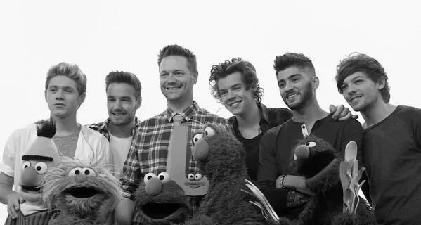 Nowadays I cannot think of that One Direction song without singing its Sesame Street companion version in my head.