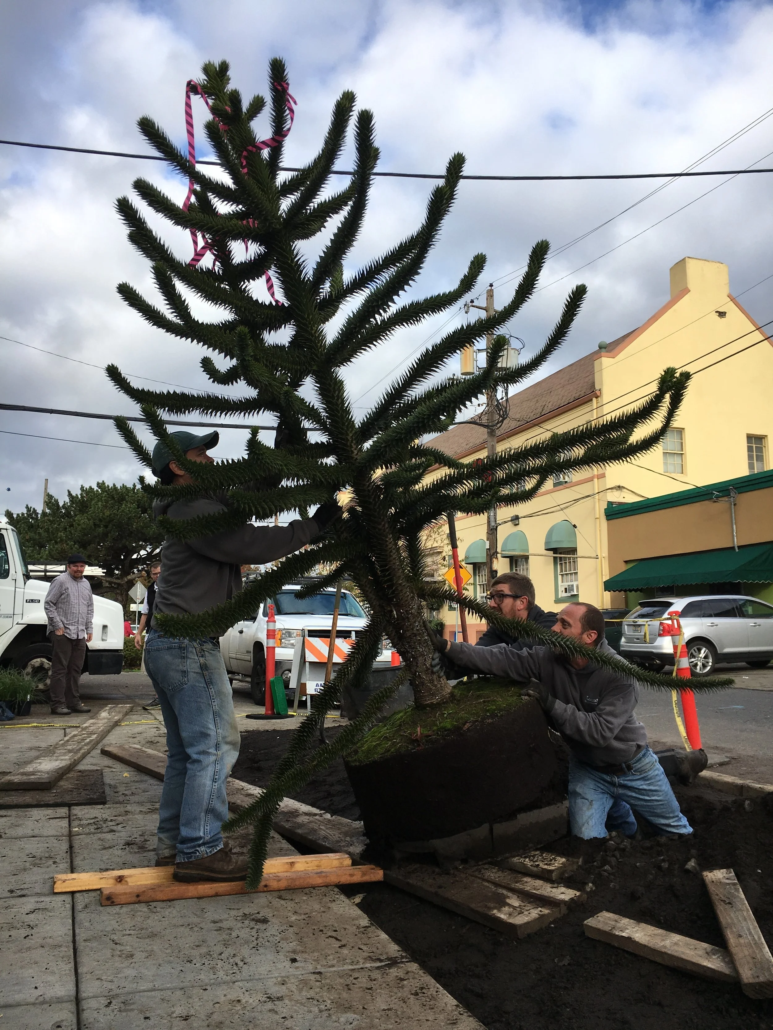 HERENOW ENTRY - CONSTRUCT - 2017