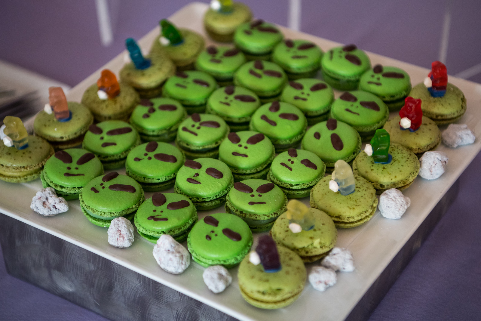DSC_4050-X3.jpg