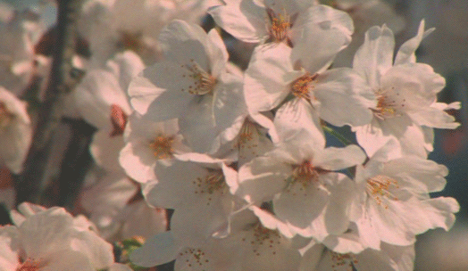 922d22d4-1910-4e4b-92d1-f367de443d04.gif