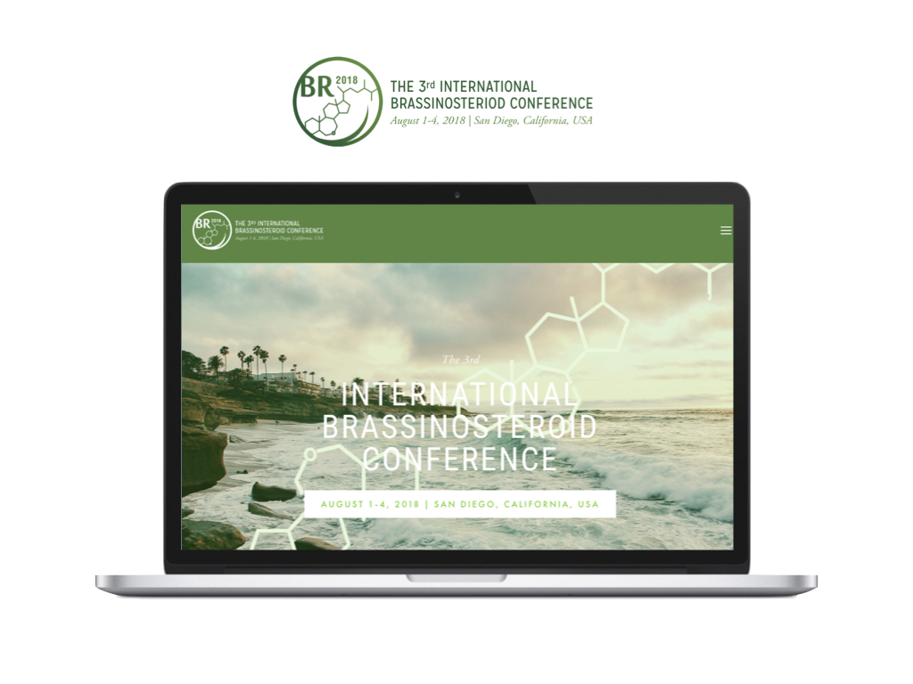 website-design.025.jpeg