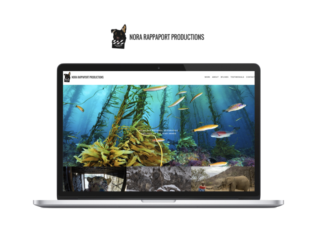 website-design.038.jpeg