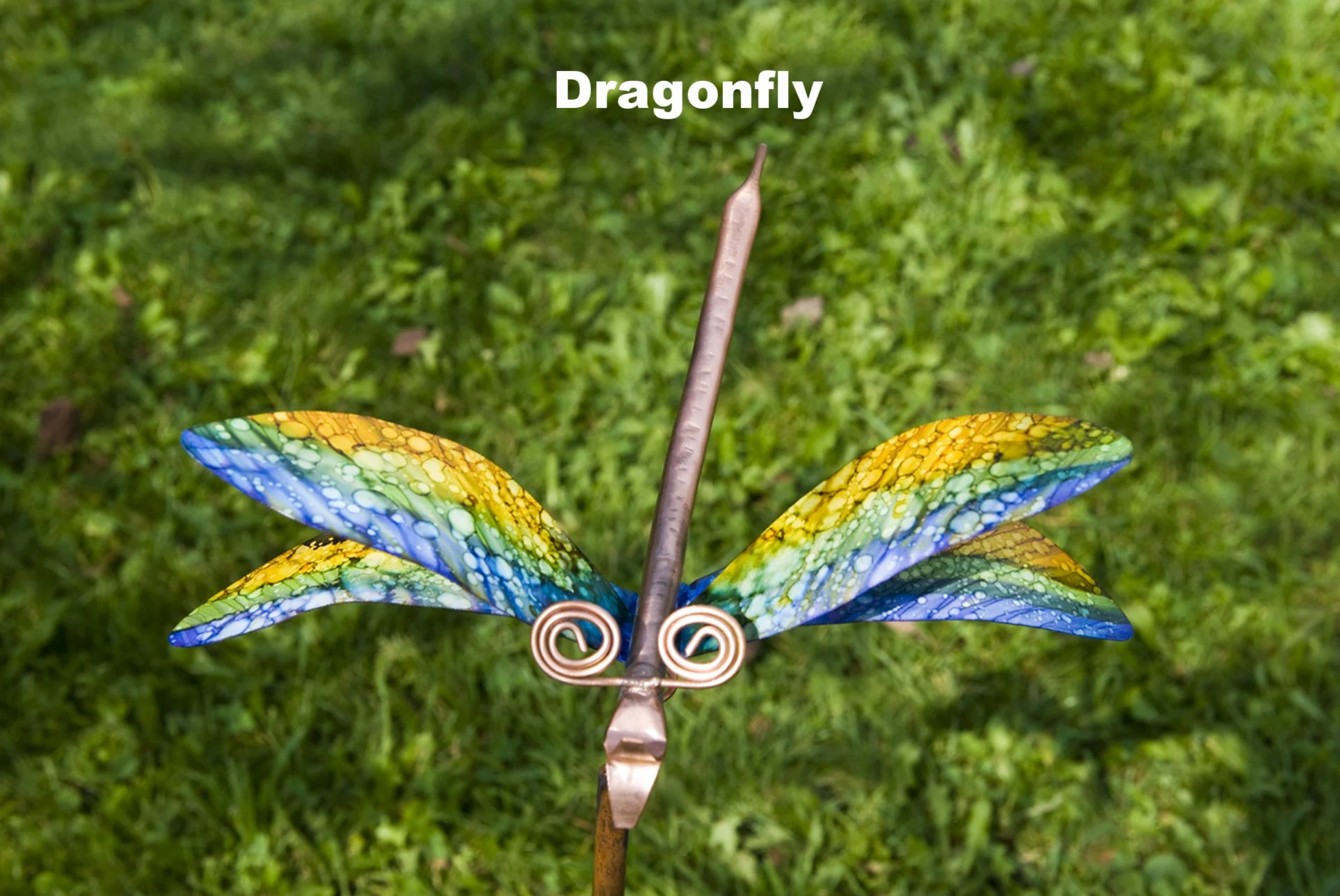 Dragonfly