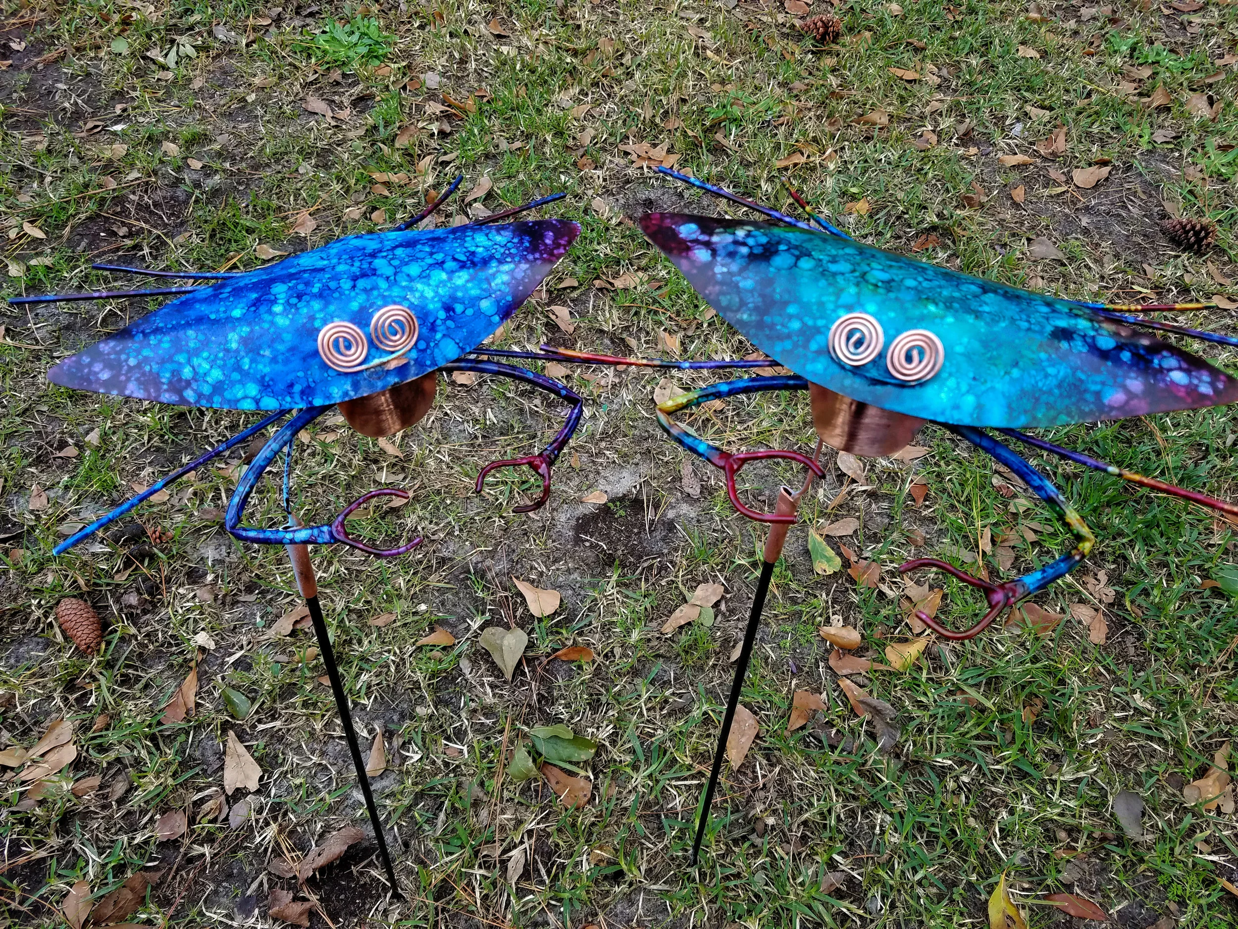CRABS.jpg