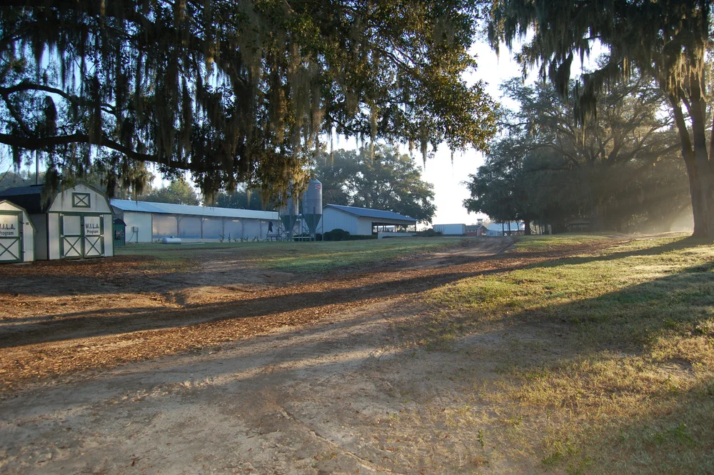 Inmate Food And Work Farm Marion County Sheriff S Office