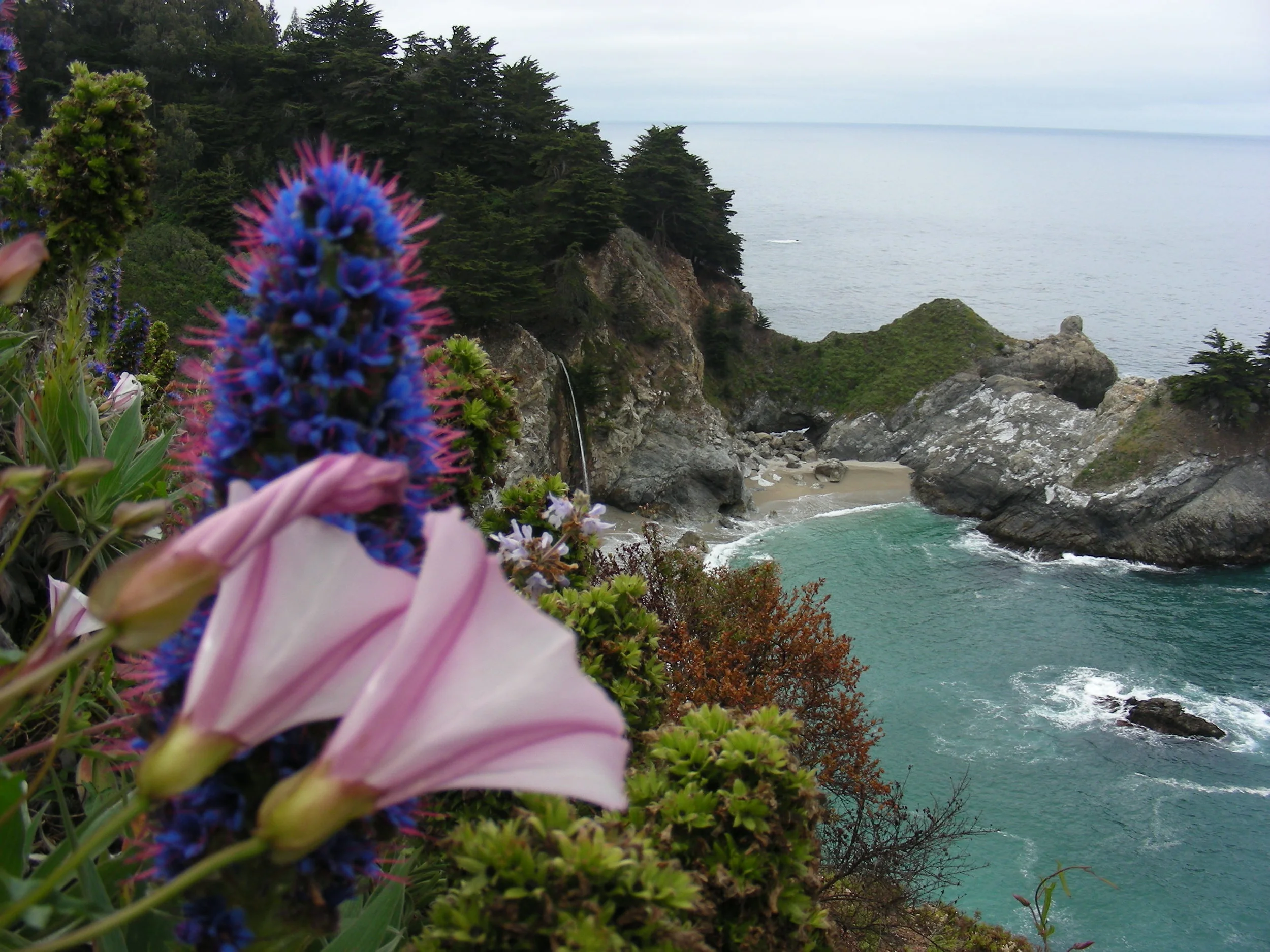 McWay Falls within Julia Pfeiffer Burns State Park