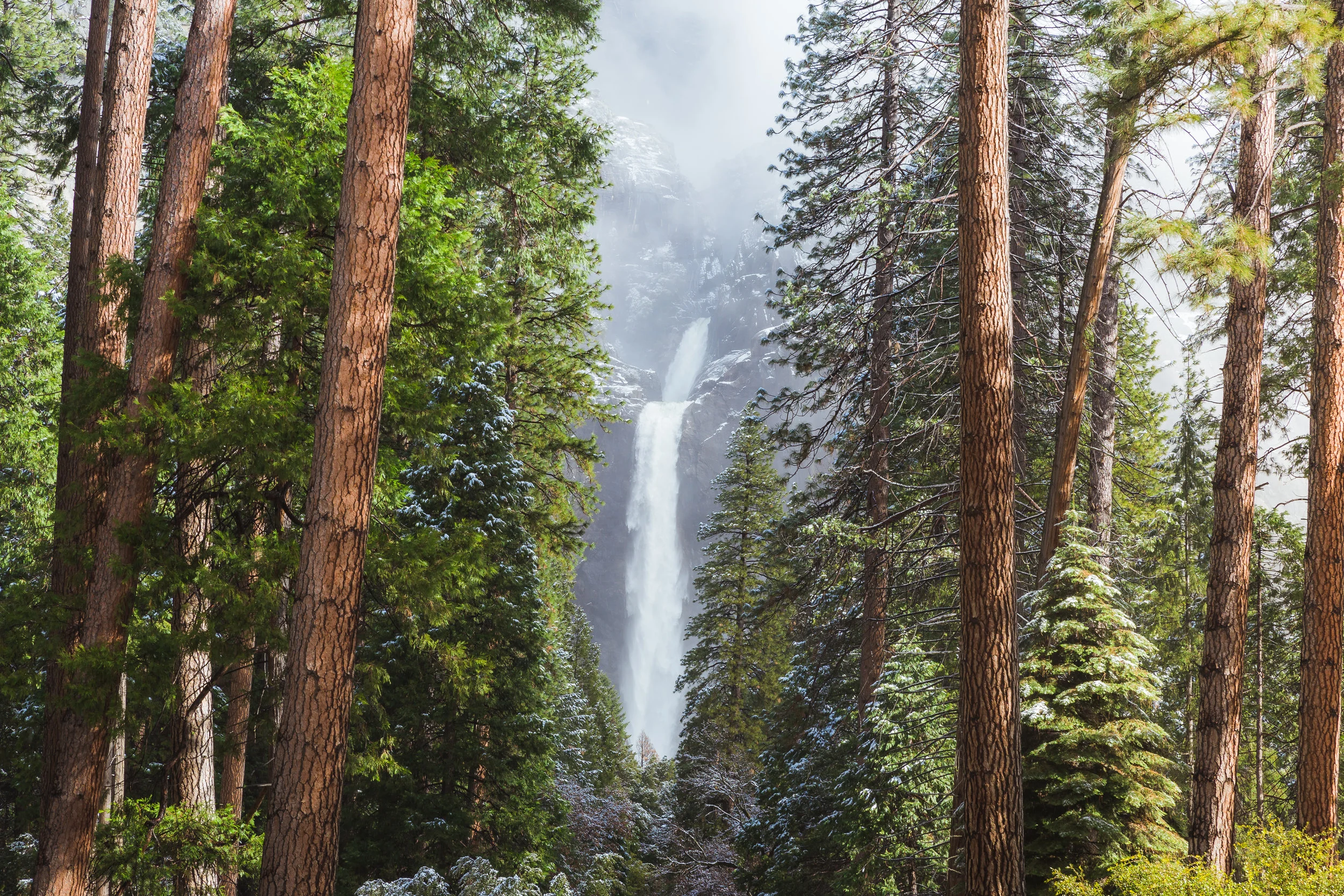 A moment of pure non-duality. Yosemite Falls from Lower Yosemite Falls Trail - Photo: @nathanaelbillings