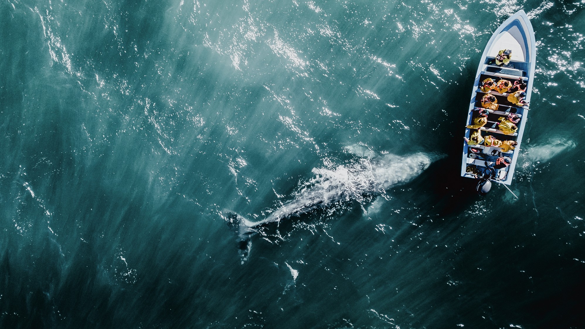 DJI_0645.jpg