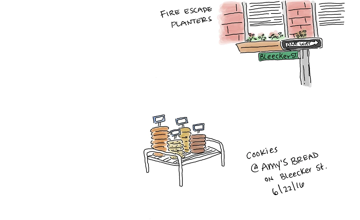 Vignettes At Amy's Bread
