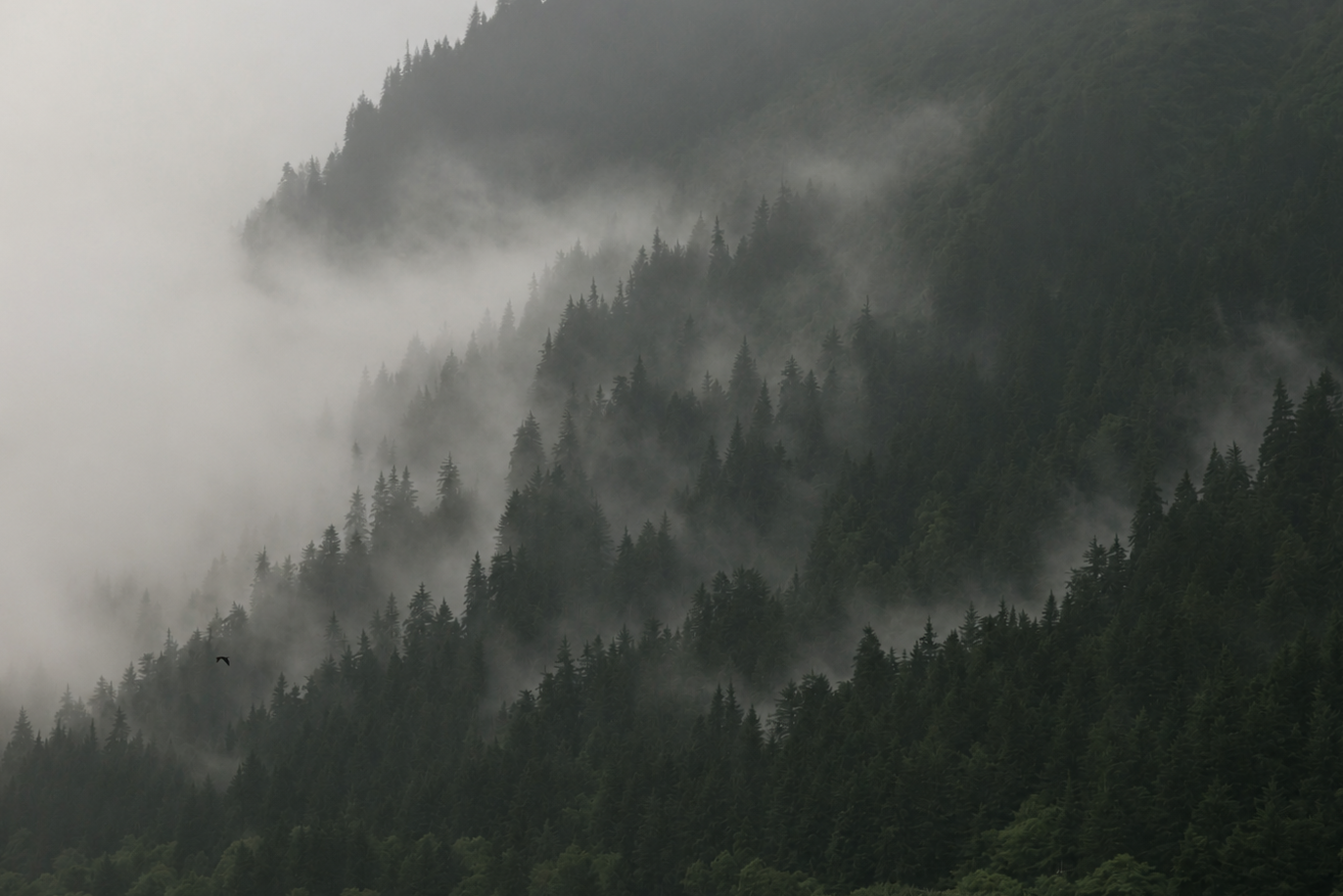 Alaska+Fog+Mountainside.png