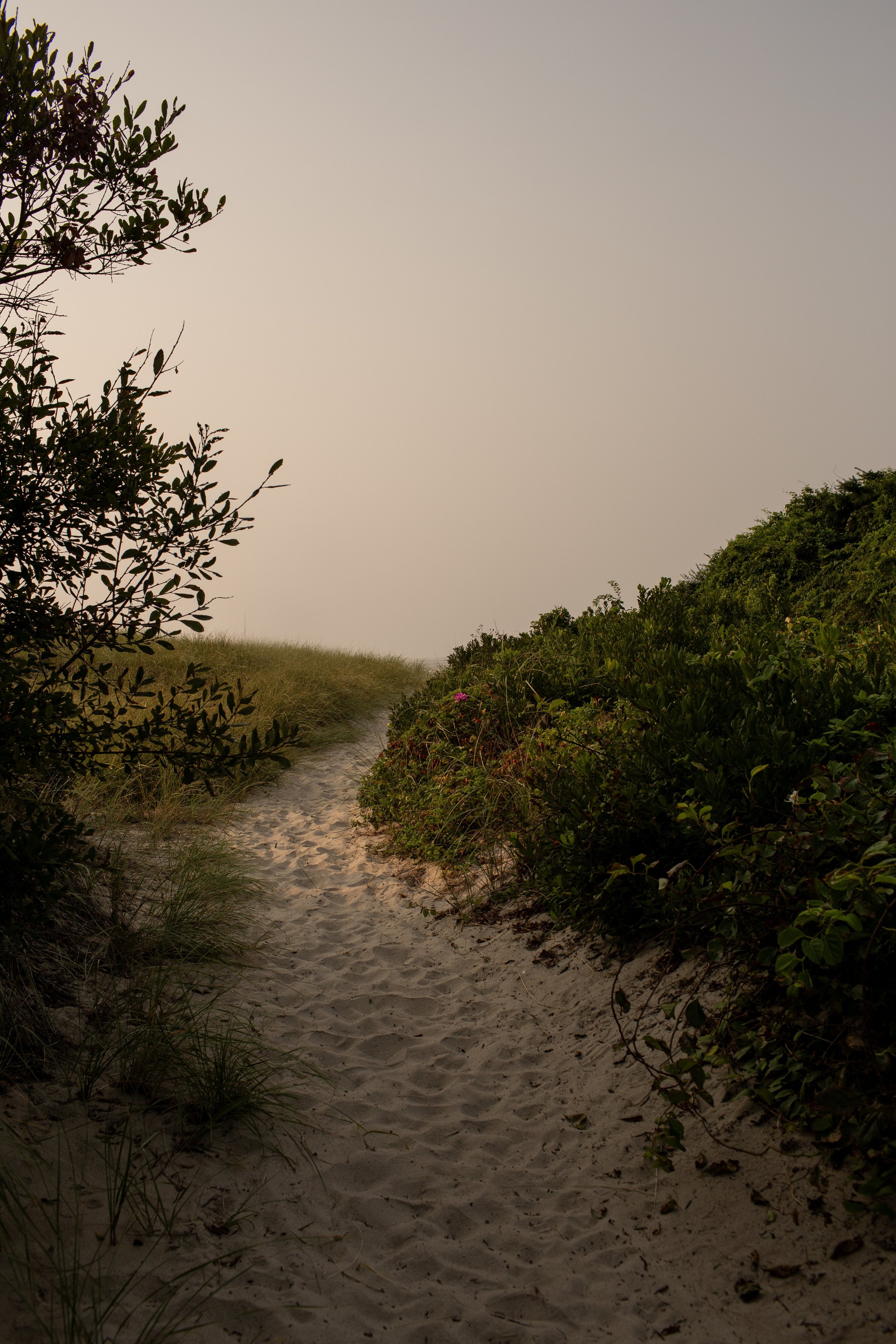 IMG_3486 copy.jpg