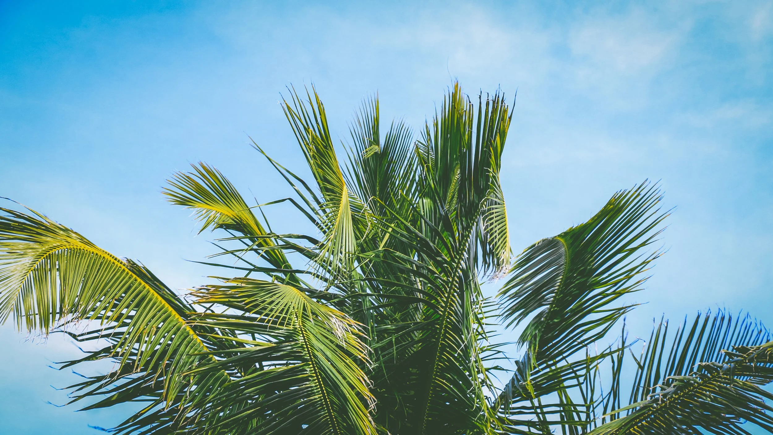 Somewhere at Home-ish