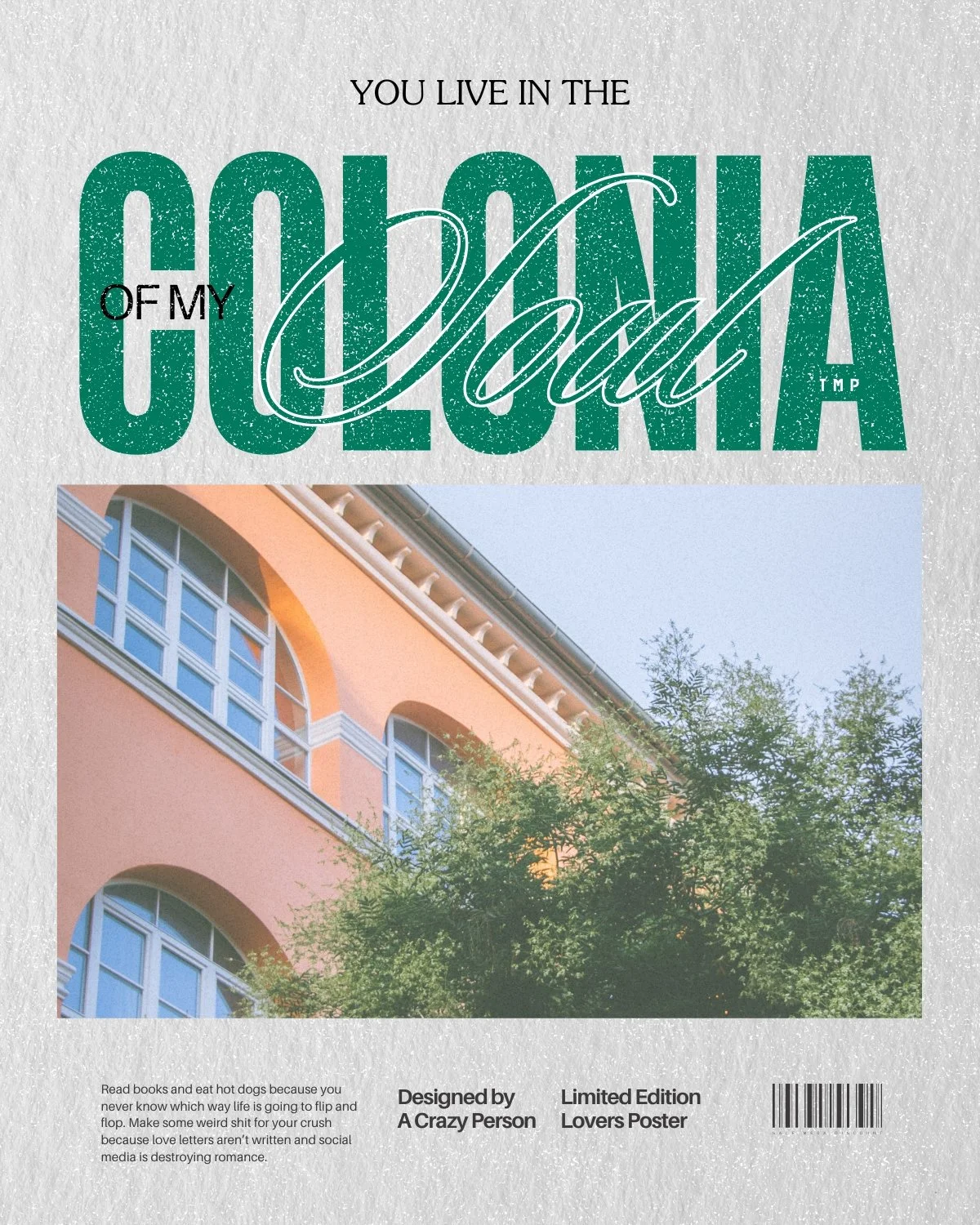 MANIC POET POSTS (2) copy.jpg