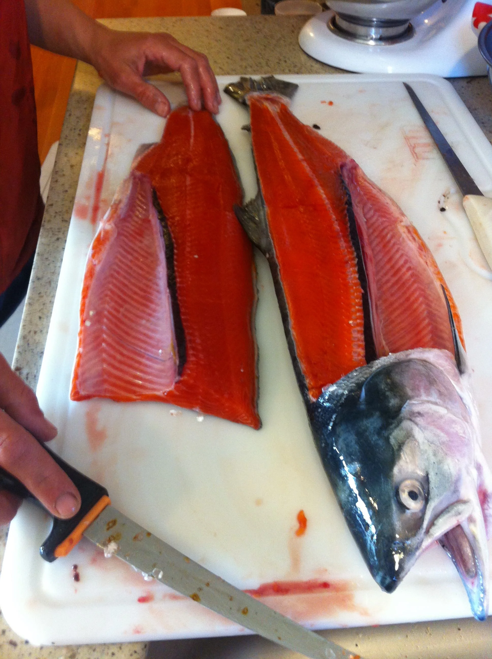 Filleting a sockeye salmon