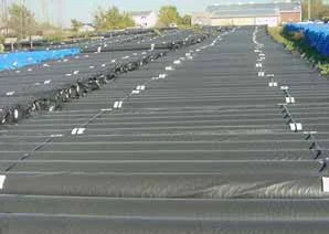 INsul seal pipes.jpg