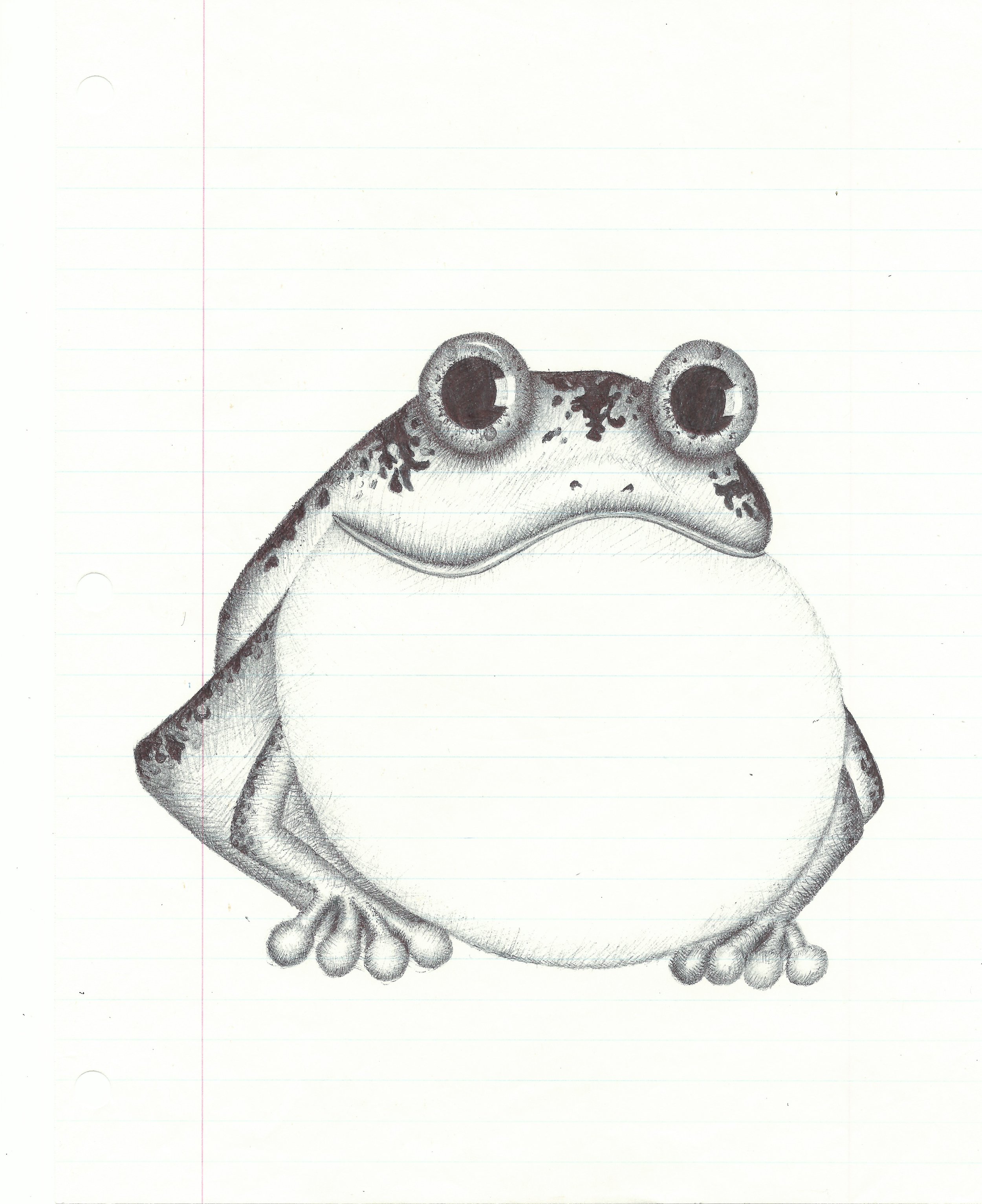 Frog Drawing.jpeg