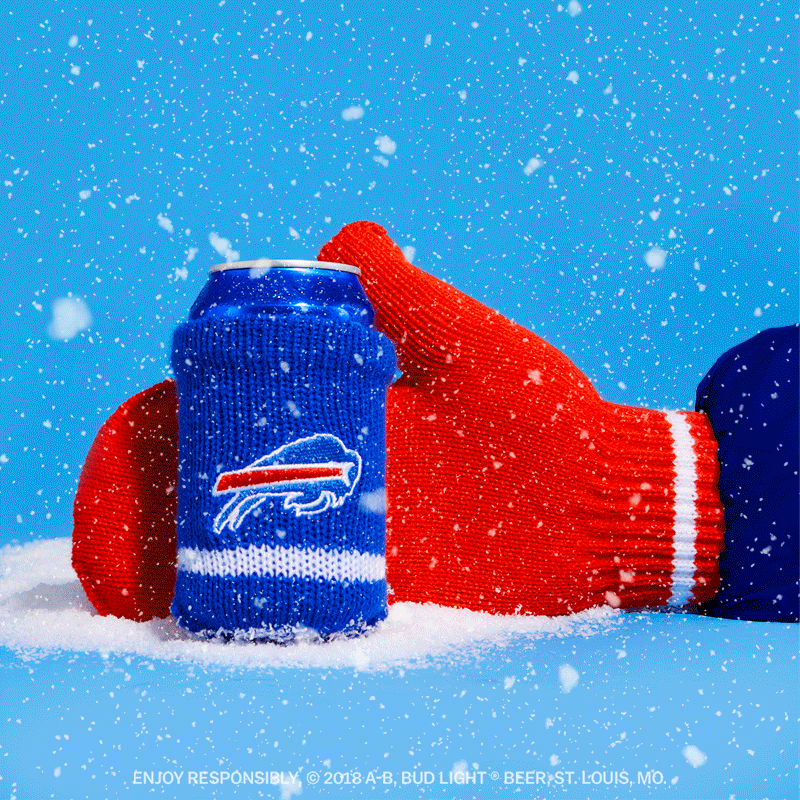 Bills-Snowy.gif