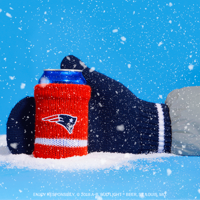 Patriots-Snowy.gif