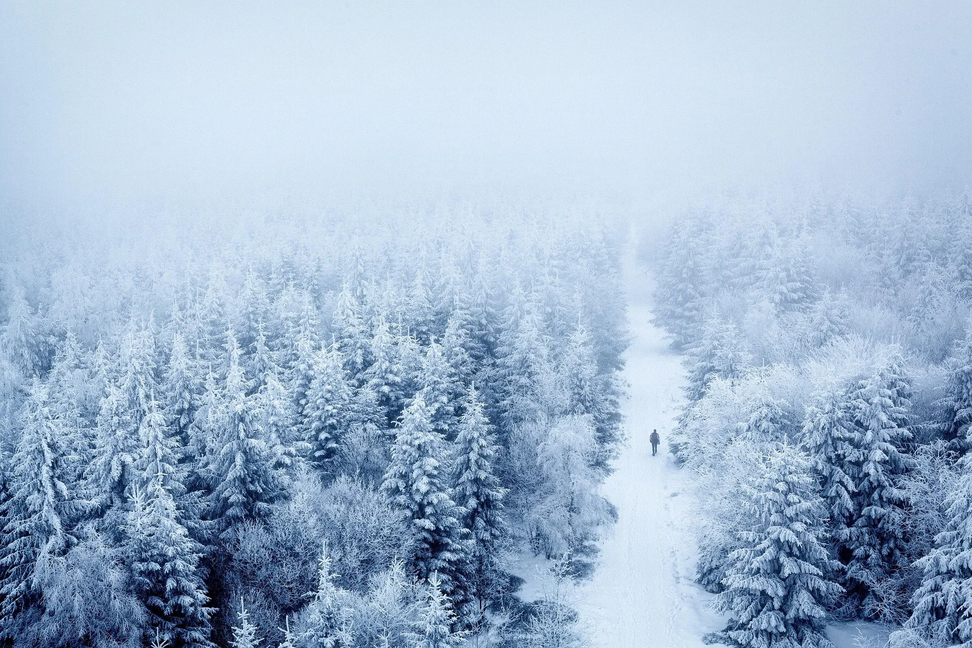 Winter training.jpg