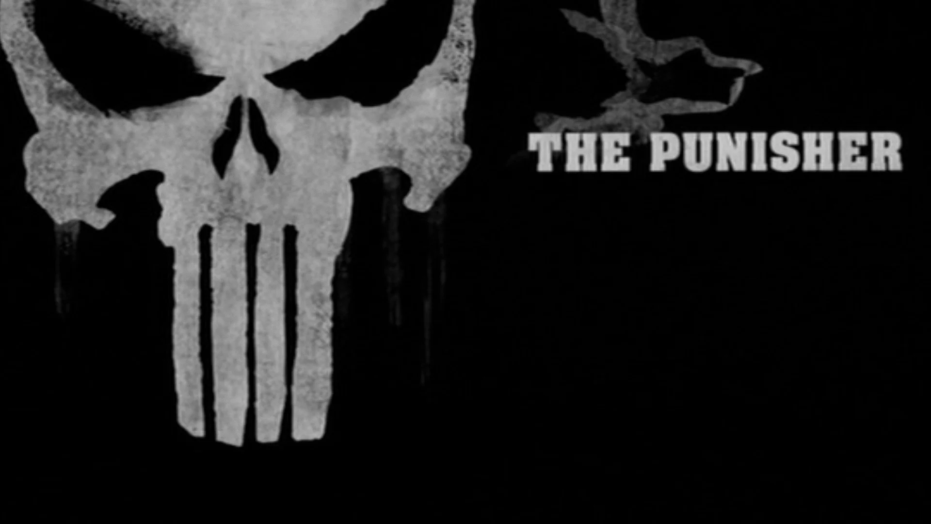 Punisher_14.jpg