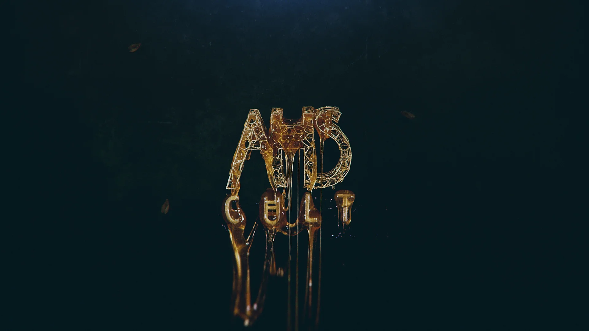 AHS_S7_Honey_20_07.jpg
