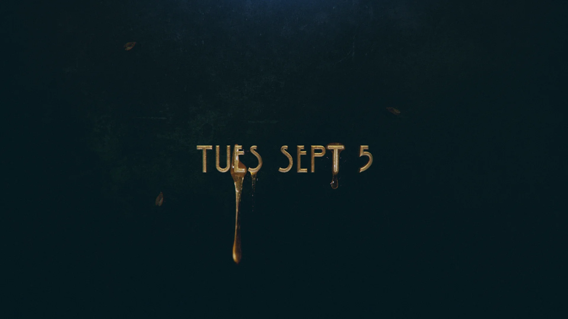 AHS_S7_Honey_20_11.jpg