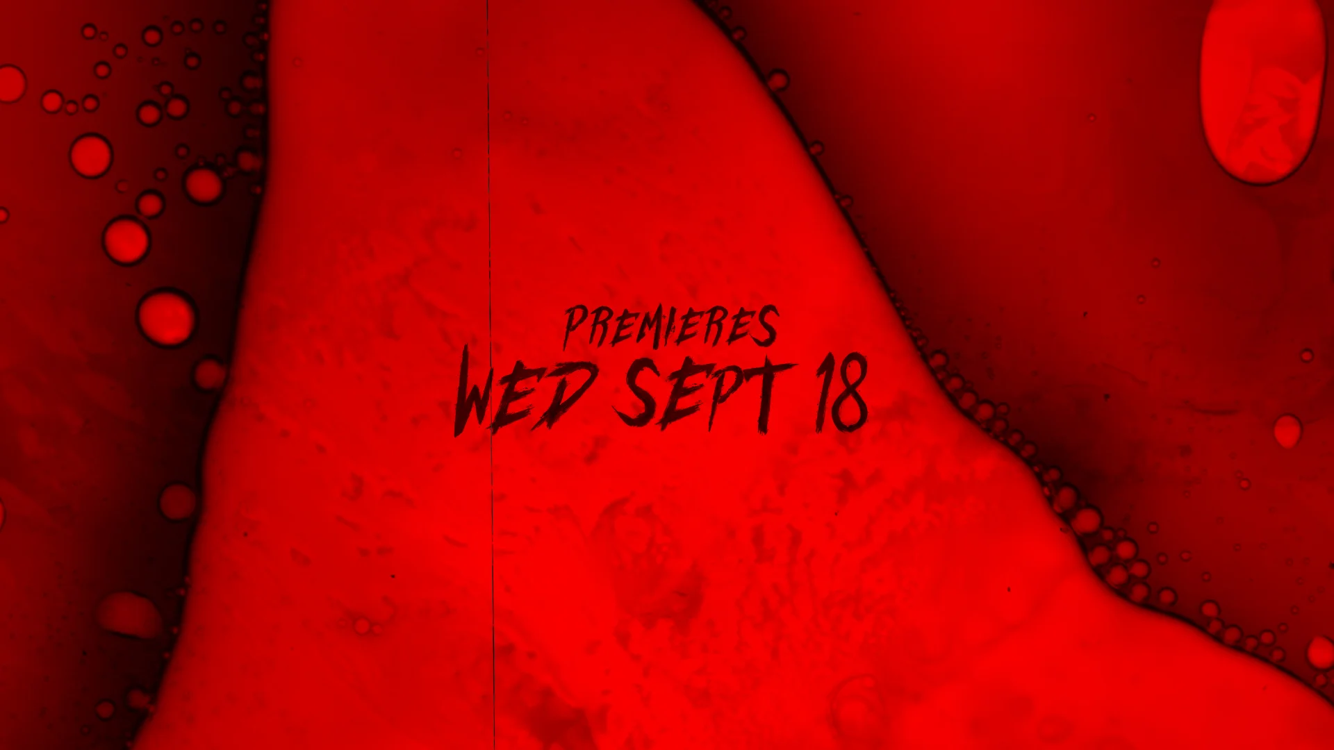 AHS9_tsr_SHOWER_12.jpg