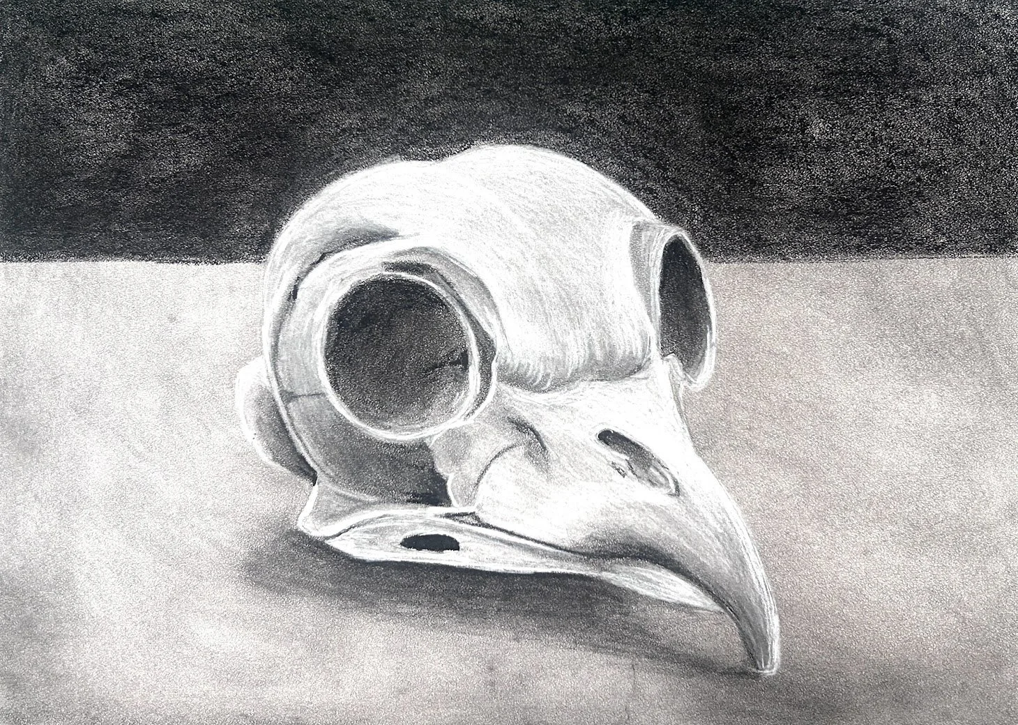 Bird Brain
