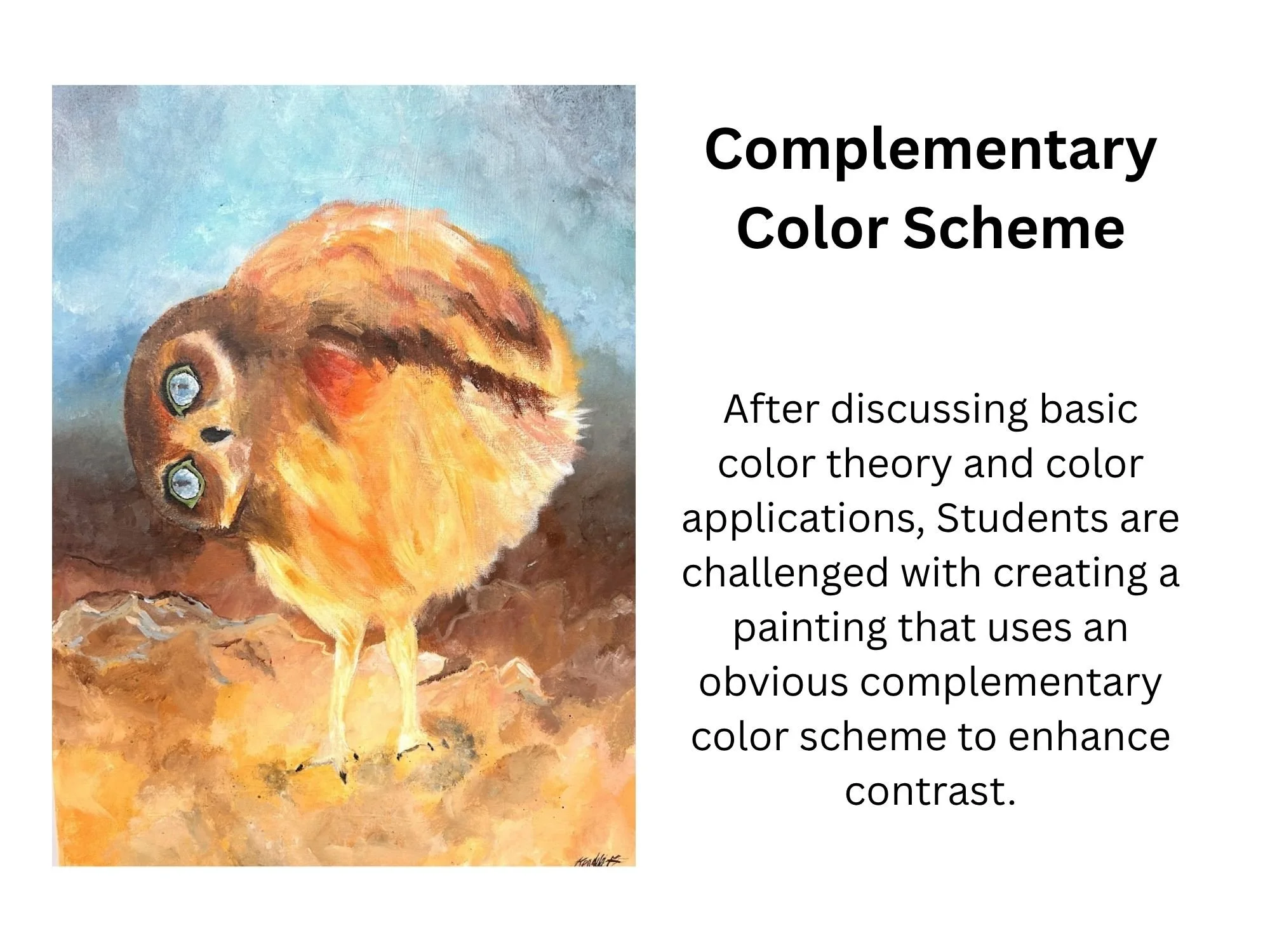 Complementary Color Scheme.jpg