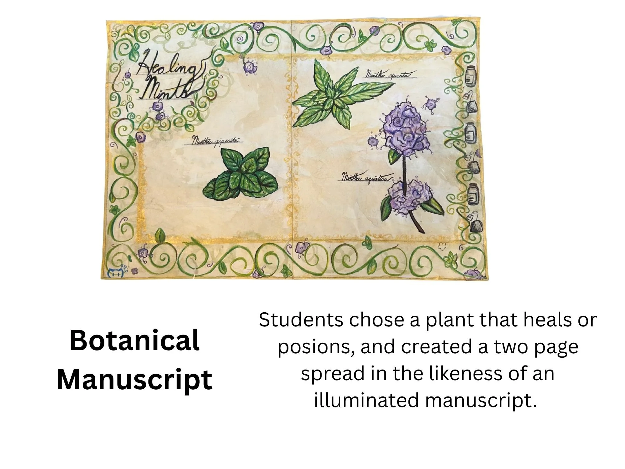 Botanical Manuscript.jpg