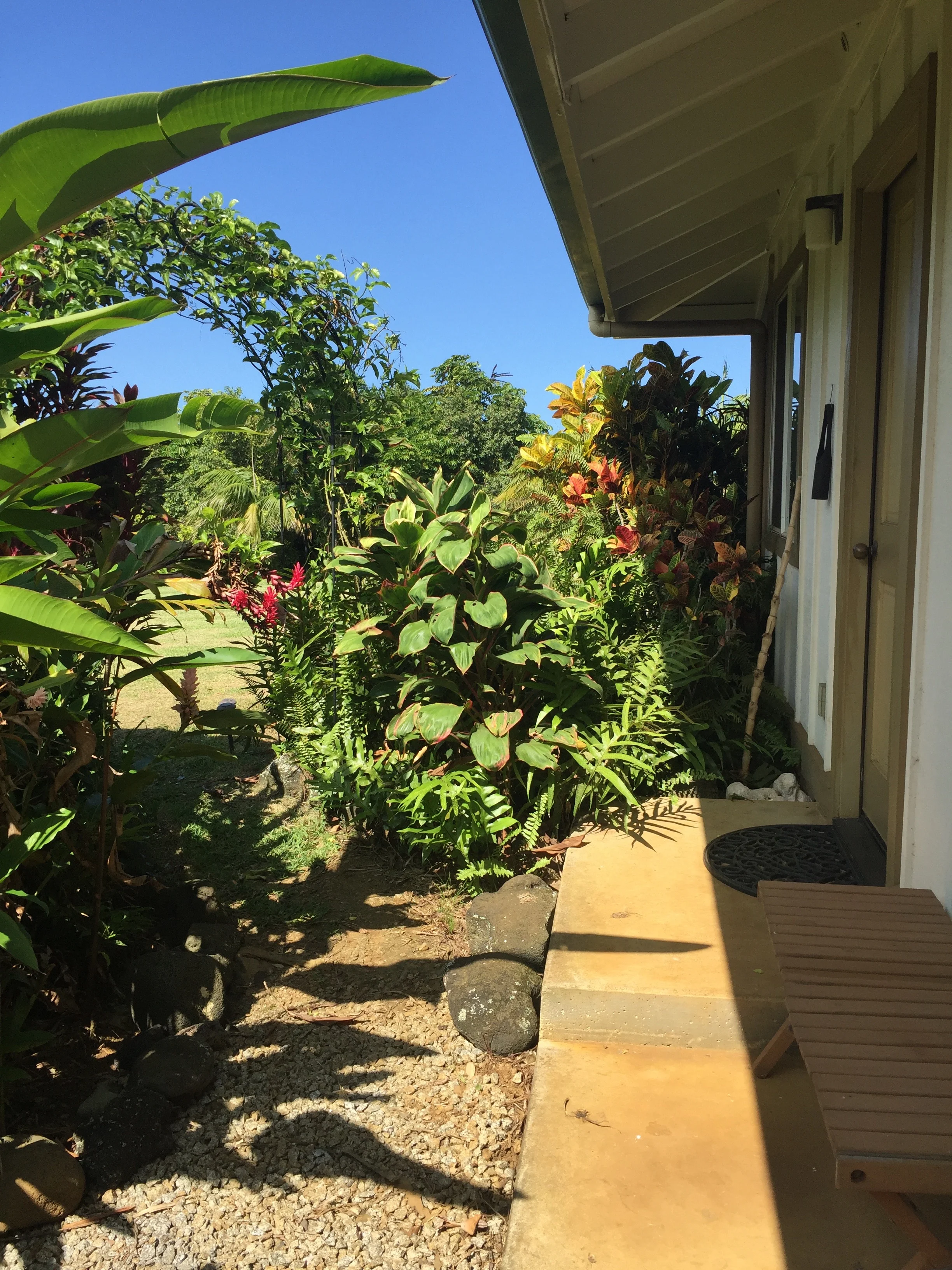 More pictures of the cozy corner at kapua gulch farms