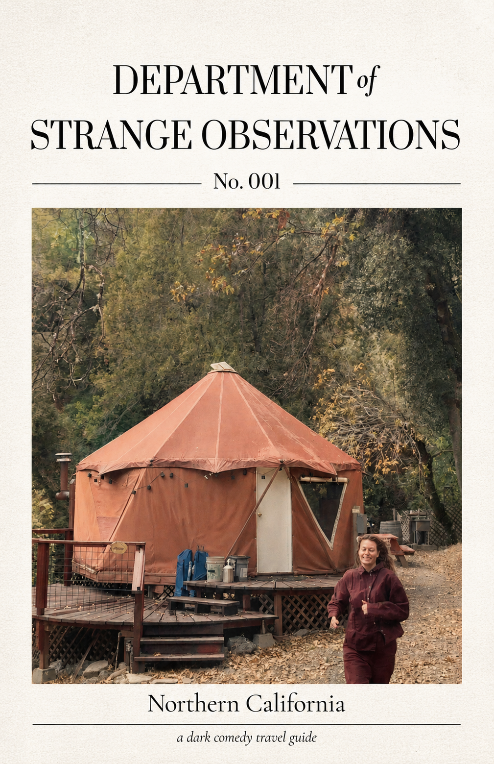 Department of Strange Observations cover.png