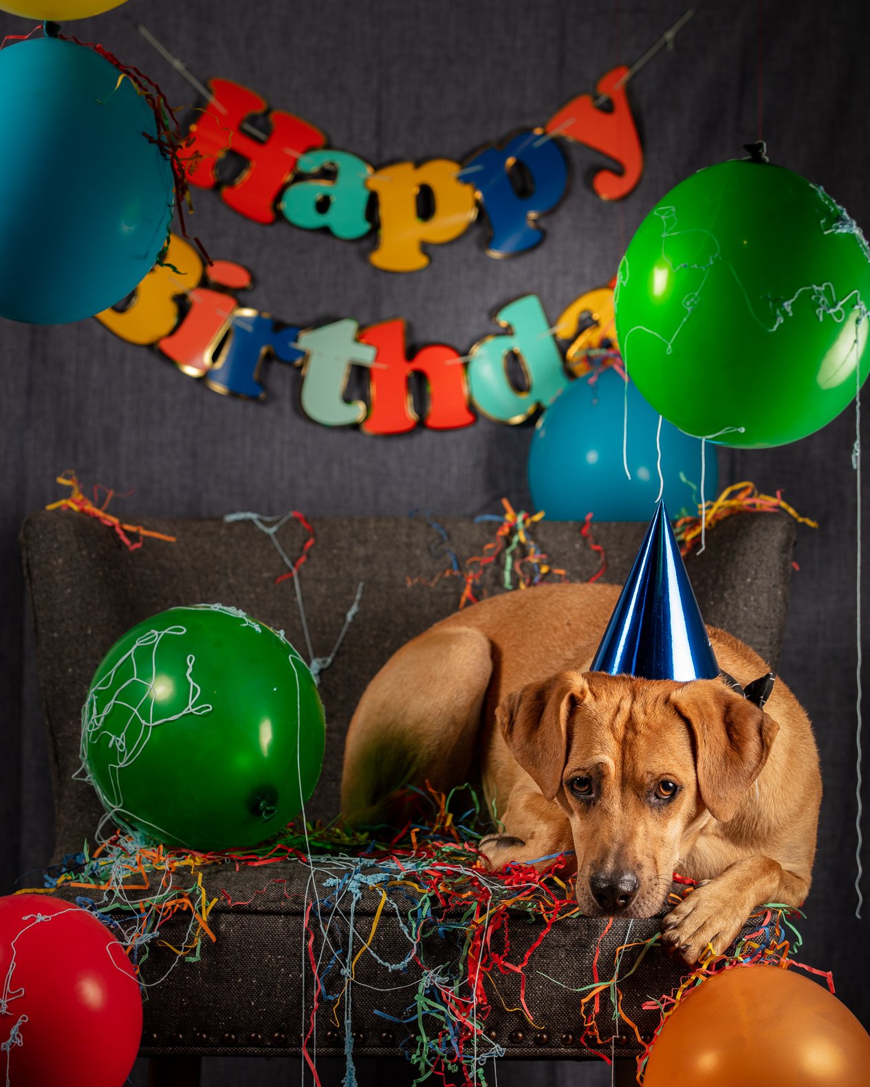 JETHRO-1ST-BDAY-9.JPG